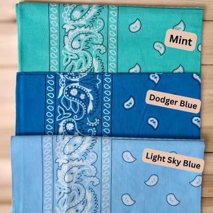 Triangular Bandana Zipper Pouch