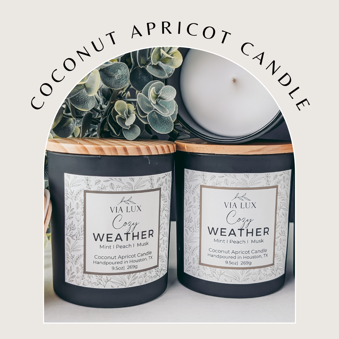 Cozy Weather Coconut Apricot Wax Candle